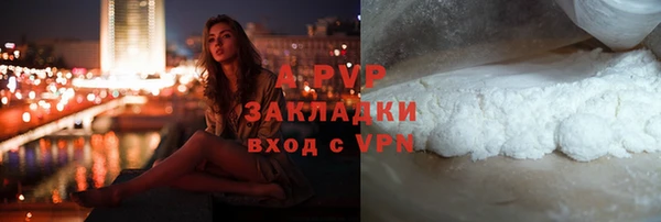 PSILOCYBIN Беломорск