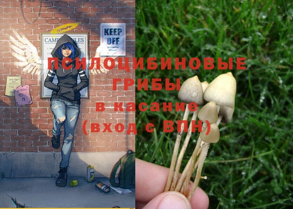 PSILOCYBIN Беломорск