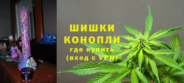PSILOCYBIN Беломорск